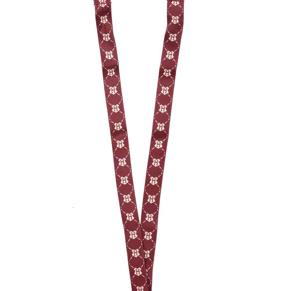 Harry Potter Hogwarts Express Lapel Pins & Lanyard Box Set -