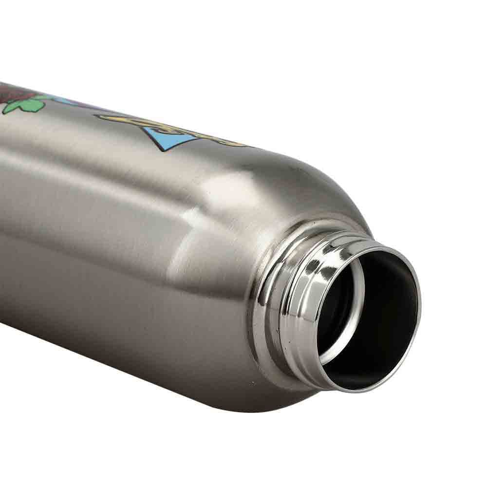22 oz Grateful Dead Stainless Steel Water Bottle - Home 