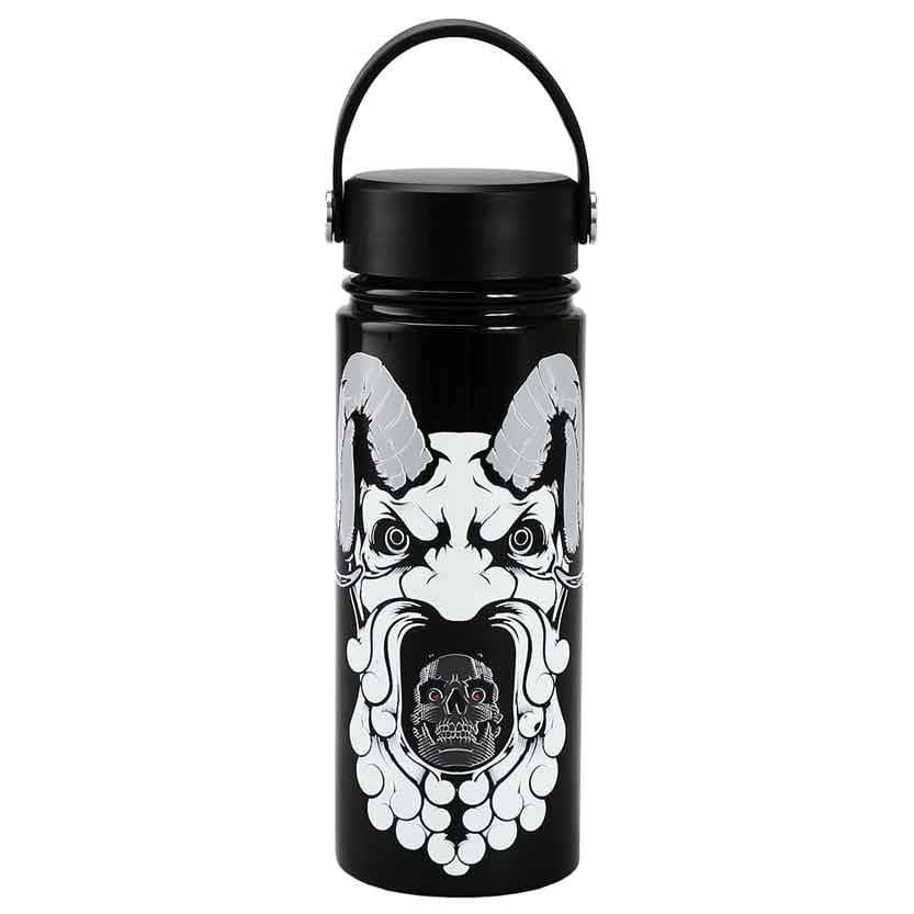 17 oz Dungeons & Dragons Stainless Steel Water Bottle - Home