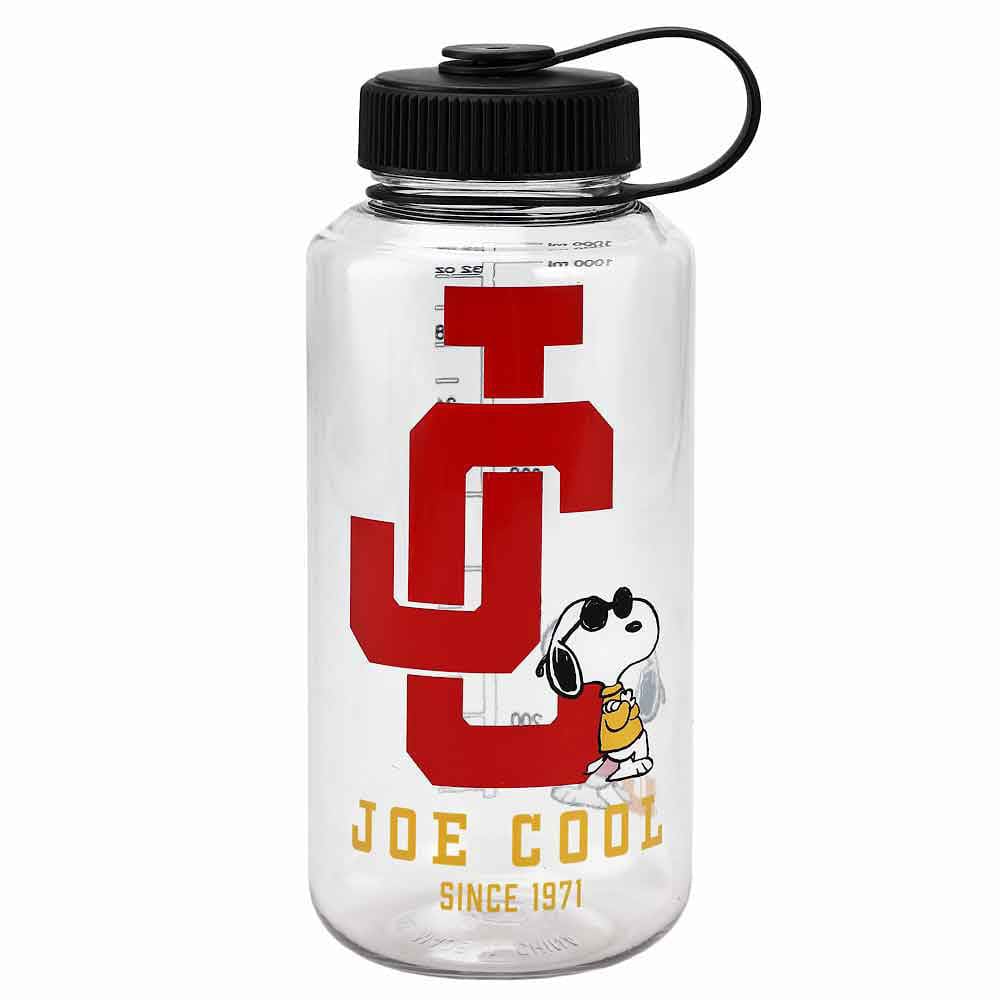 32 oz The Peanuts Snoopy Joe Cool Water Bottle - Home Decor 