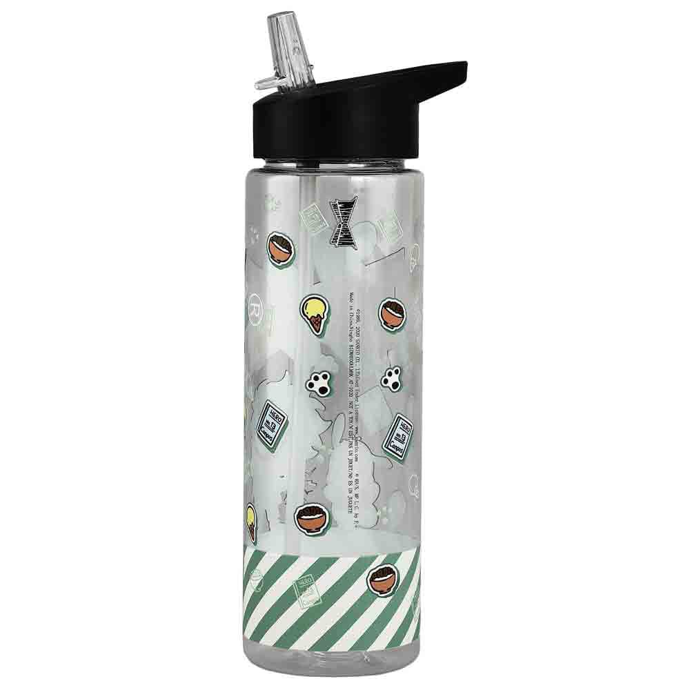 Sanrio X My Hero Academia 24 oz. Single-Wall Water Bottle