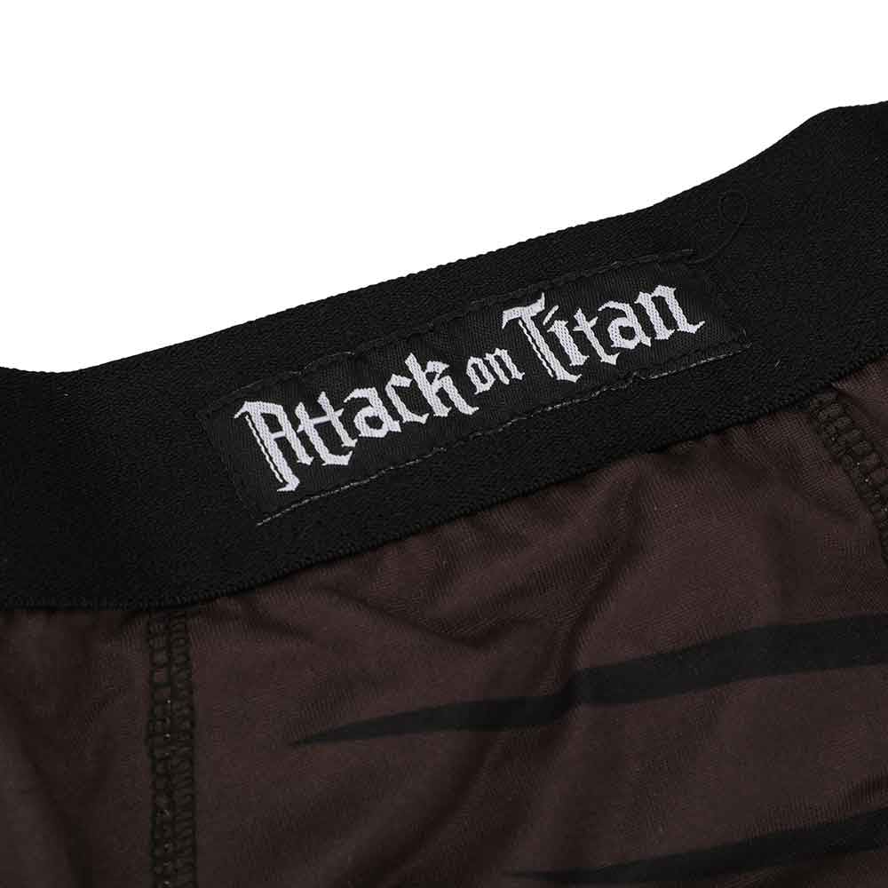 Attack on The Titan Scout Boxer Briefs - Clothing - Bottoms