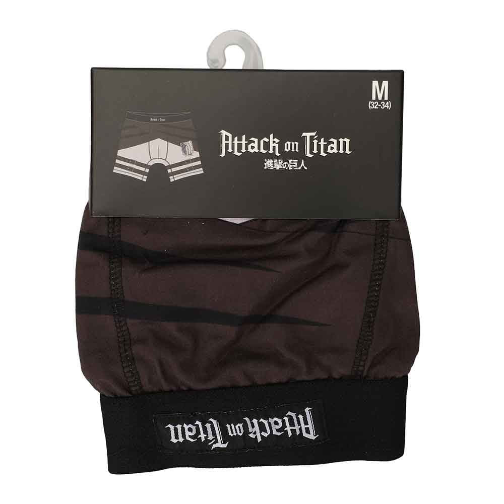 Attack on The Titan Scout Boxer Briefs - Clothing - Bottoms